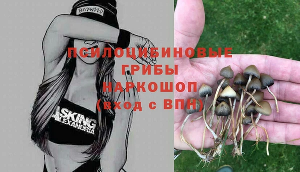 mdma Медвежьегорск