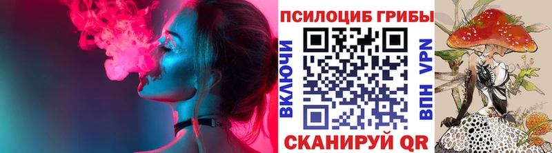 цена   Новомичуринск  Галлюциногенные грибы MAGIC MUSHROOMS 
